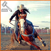 L'équitation western : disciplines, races de chevaux adaptées et équipement  spécifique